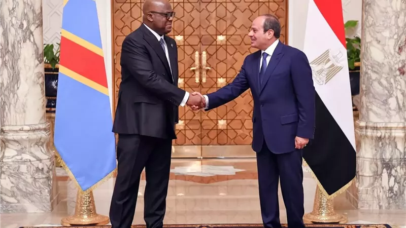 الرئيس السيسي: أجريت مع الرئيس الكونغولي مباحثات مثمرة وبناءة