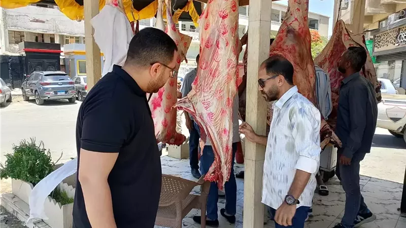 تحرير 3517 محضرًا تموينيًا متنوعًا خلال مايو الماضي بالمنيا