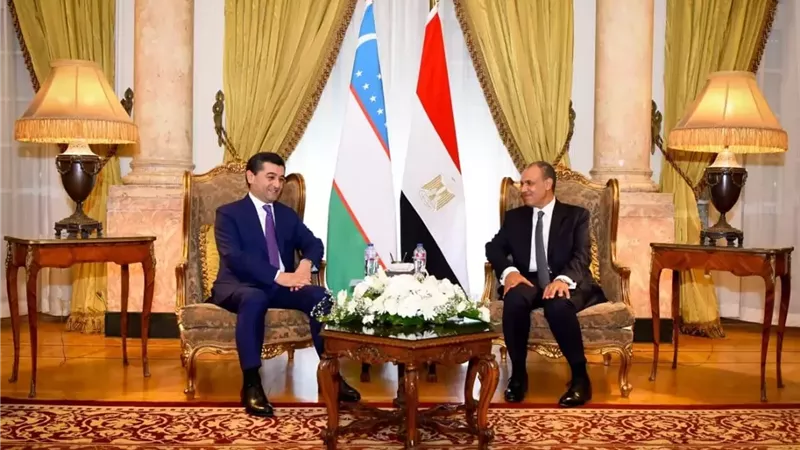 وزير الخارجية يعقد جلسة مباحثات موسعة مع وزير خارجية أوزبكستان