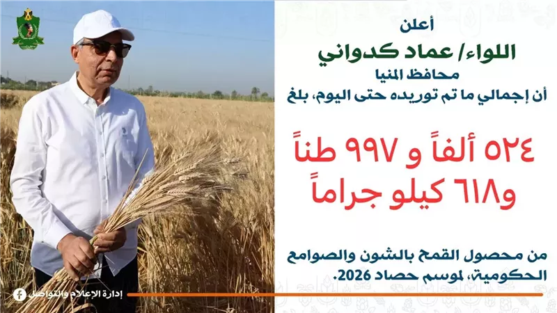 توريد 525 ألف طن من القمح بمراكز محافظة المنيا