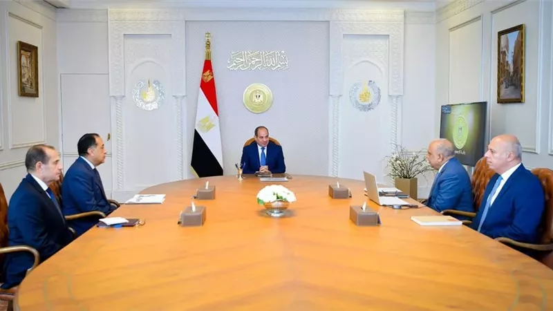 الرئيس السيسى يشدد على ضرورة المراجعة الدورية لمشروعات الطاقات المتجددة