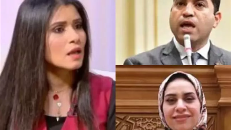 اقتراب الإجازة البرلمانية.. يهدد بترحيل مشروع 