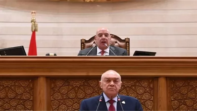 النواب يقر اتفاقية تمويل جديدة للقطار الكهربائي السريع