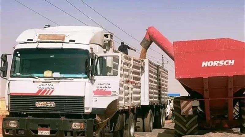 محافظ أسوان يتابع إنتظام توريد القمح المحلى الى الصوامع
