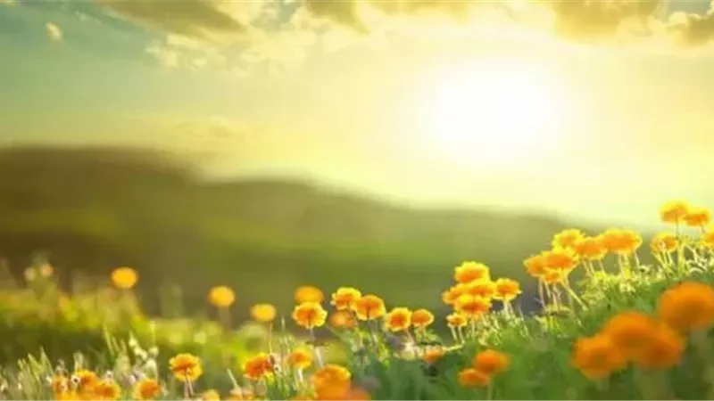 هَدي النبي صلى الله عليه وسلم في استقبال الصباح