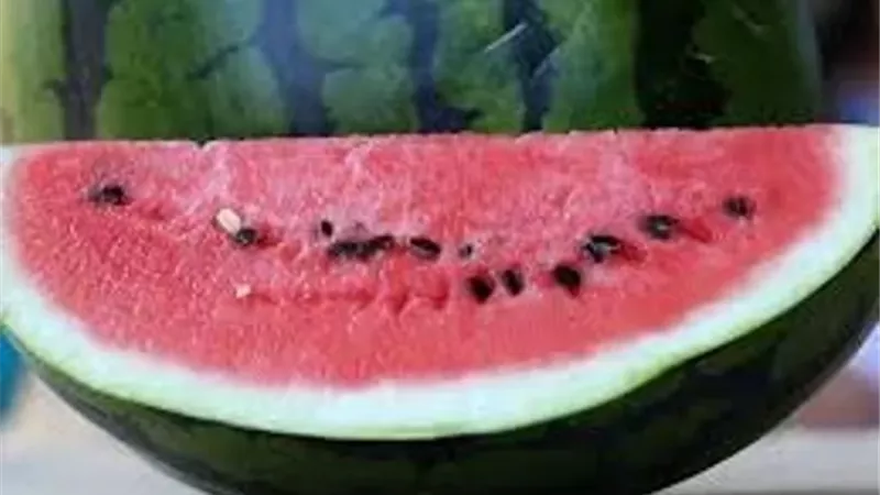 هل يساعد البطيخ في حماية القلب؟ دراسة تجيب