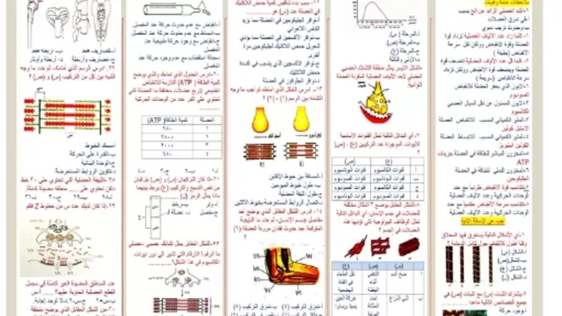 بالاجابات.. اهم الاسئلة في الأحياء لطلاب الثانوية العامة