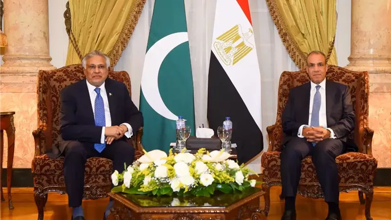 وزير الخارجية يستقبل نائب رئيس الوزراء ووزير خارجية باكستان