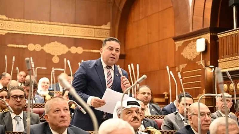 نائب الشعب الجمهورى بالشيوخ يدعو لتشريعات تدعم التصنيع المحلى