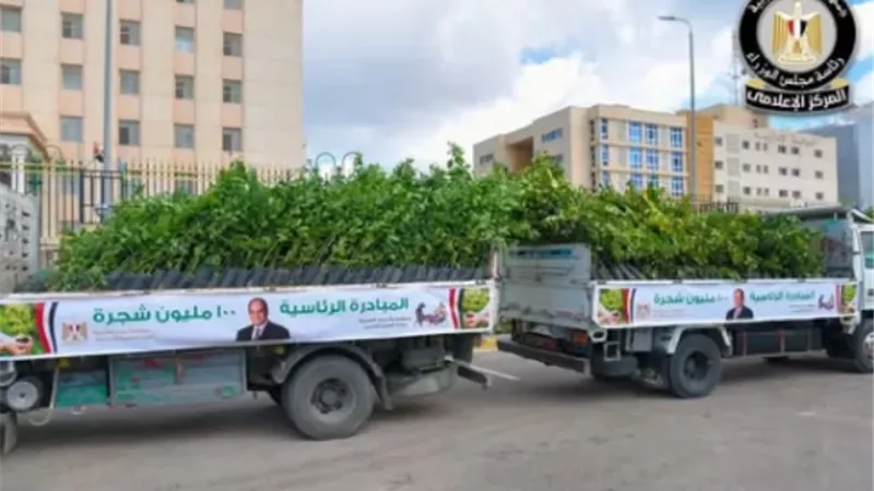 المركز الإعلامي لمجلس الوزراء: زراعة أكثر من 200 ألف شجرة