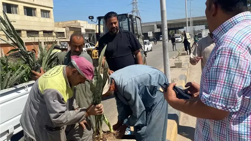 حملات تشجير وتطوير وزيادة المساحات الخضراء بحي الوراق