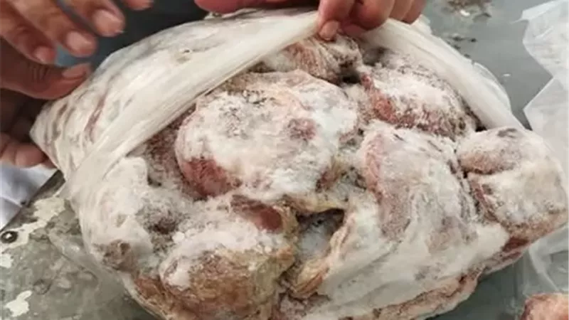 ضبط ١٠ أطنان مصنعات دجاج فاسدة بالإسماعيلية
