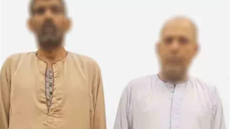 ضبط صاحب ورشة سيارات وشقيقه لاتهامهما بتعذيب طفل بالمنوفية