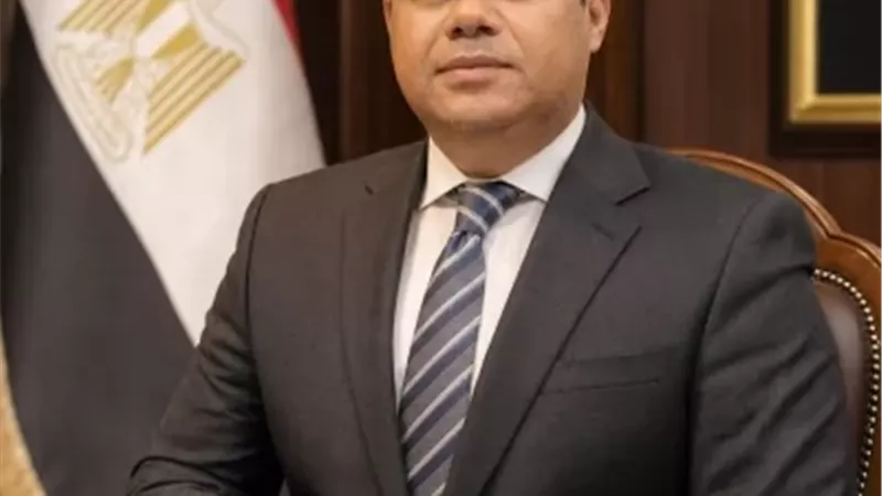 تعيين الدكتور صابر عثمان مساعدًا لوزيرة التنمية المحلية