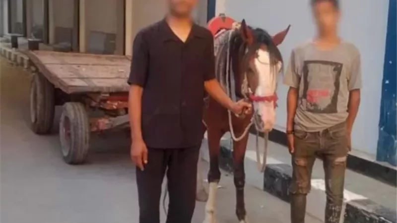 ضبط عاطلين ألقيا مخلفات بعربة كارو في المرج