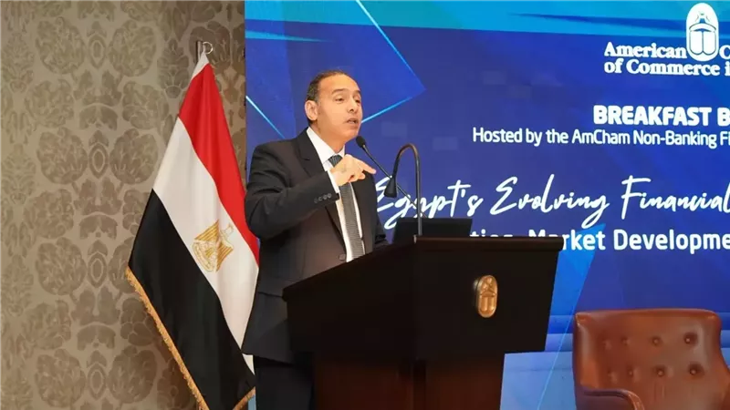 الرقابة المالية: 