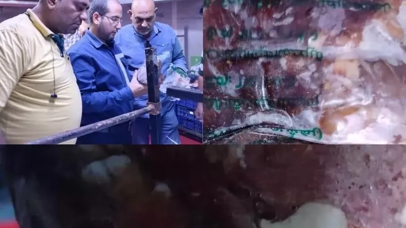 ضبط 4 أطنان لحوم غير صالحة للاستخدام داخل مصنع بالعبور