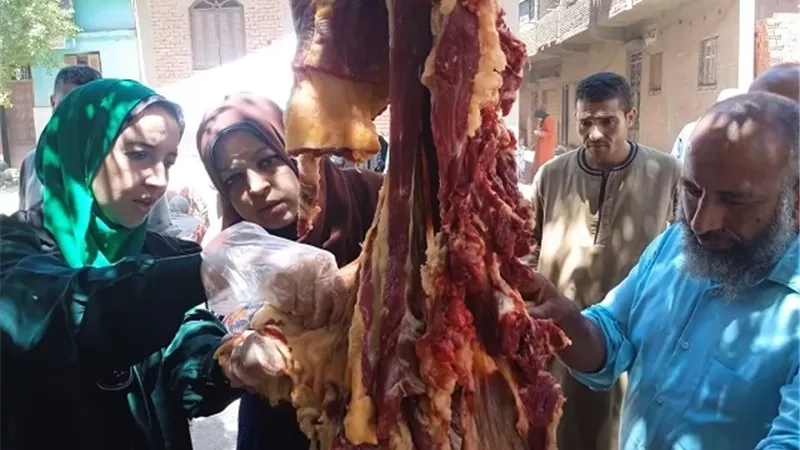 ضبط أكثر من نصف طن دواجن وأسماك ولحوم فاسدة بالمنيا
