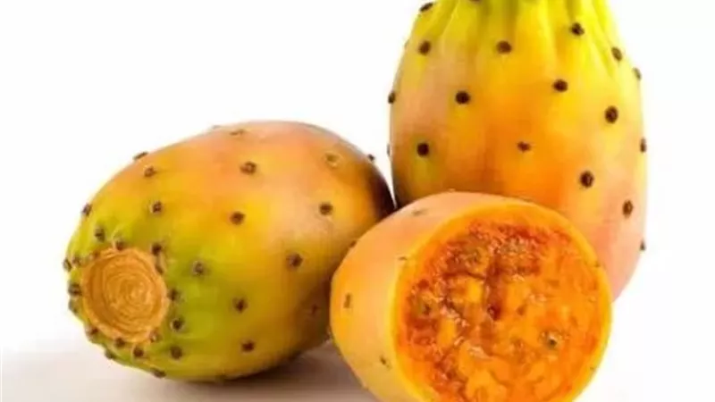 من تحسين الهضم إلى دعم القلب.. ماذا يقدم التين الشوكي للجسم؟