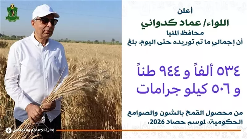 توريد 535 ألف طن من القمح المحلي خلال موسم 2026 بالمنيا