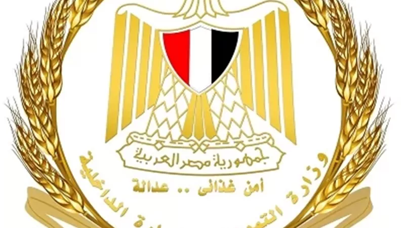 التموين تضبط 9837 بطاقة مجمعة في 14 محافظة خلال حملات رقابية