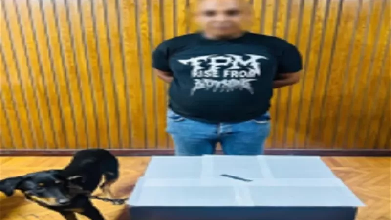 ضبط بائع خردة تعدى على كلب بسلاح أبيض في الإسكندرية