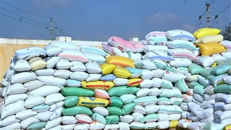 توريد 415 الف طن قمح بالبحيرة