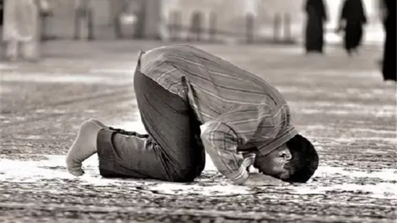 هل يجب ستر العاتقين في الصلاة؟
