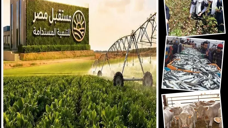 من الدراسة إلى التوظيف.. مدارس مصرية إيطالية تؤهل الطلاب لسوق العمل محليا ودولياً