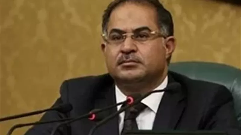 وهدان يطالب بإطار تشريعى.. لمواجهة فوضى البودكاست والمنصات الرقمية
