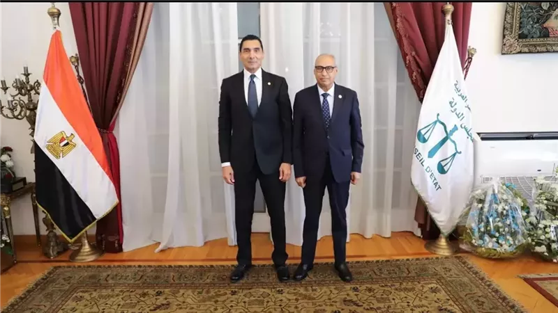 رئيس مجلس الدولة يستقبل وزير الشباب والرياضة لتقديم التهنئة