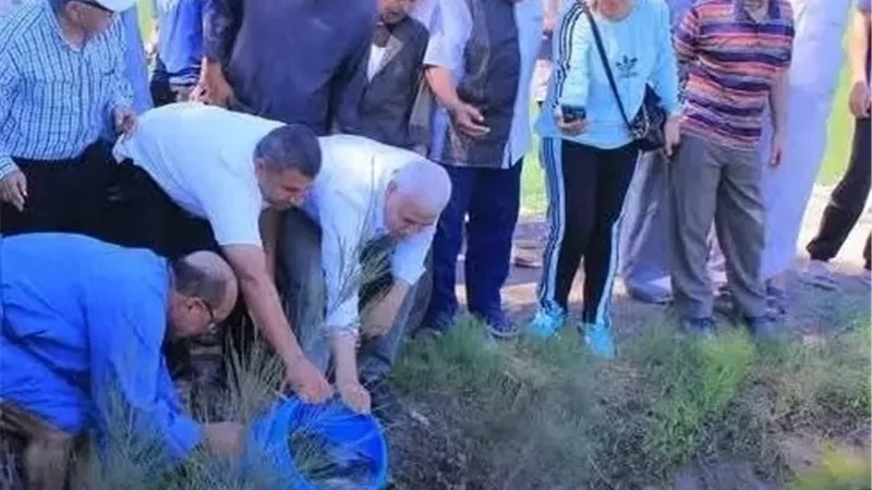 محافظ الشرقية يتابع تنزيل الزريعة السمكية بحقول الأرز