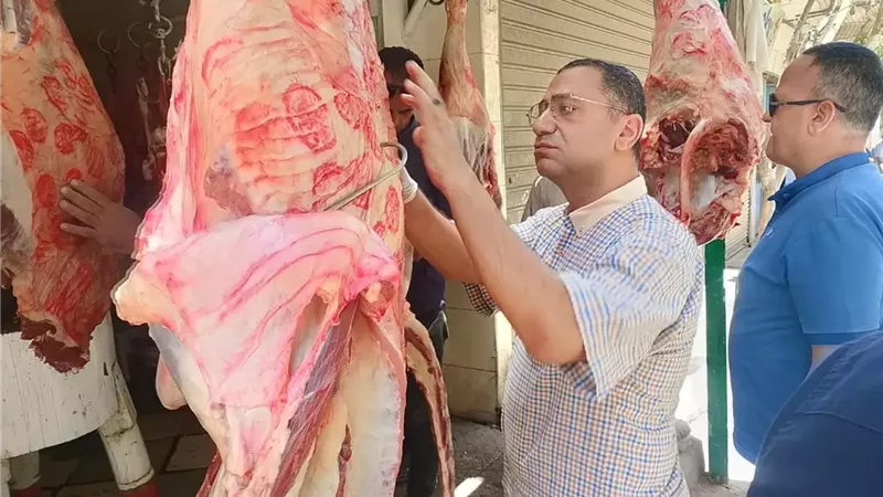 تحرير 4384 محضرًا خلال حملات رقابية على المخابز والأسواق بالمنيا