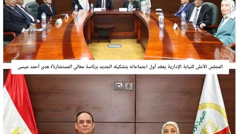 المجلس الأعلى للنيابة الإدارية يعقد أول اجتماع بتشكيله الجديد