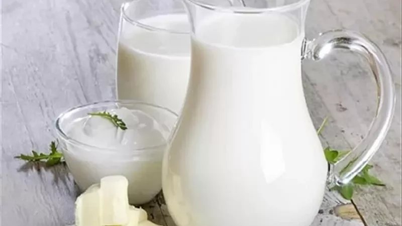 منها اللبن الرائب .. مشروبات تمنحك الترطيب والطاقة بعد الغداء
