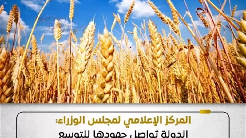 الحكومة:الدولة تواصل جهودها للتوسع في زراعة المحاصيل الاستراتيجية
