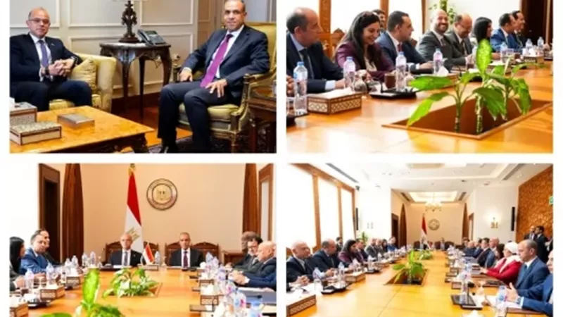 وزيرا الخارجية والاستثمار يعززان الاستثمارات المصرية بإفريقيا