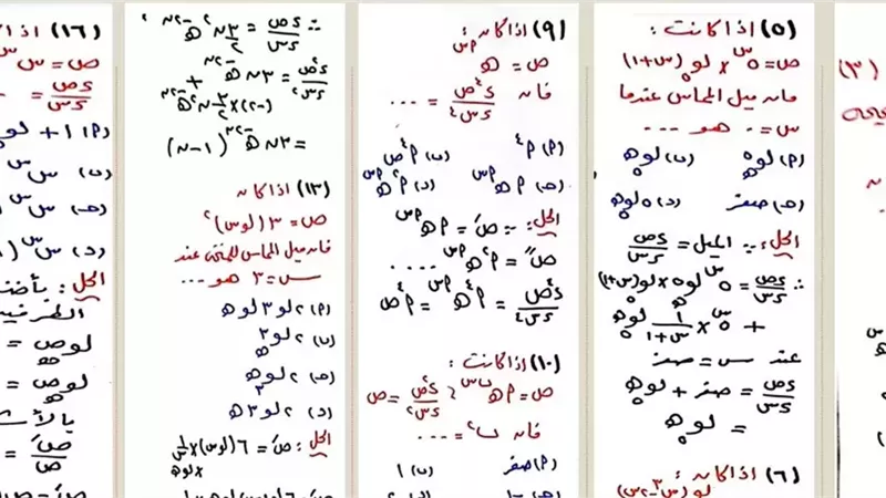 لن يخرج عنها الامتحان.. 18 سؤالًا بالإجابات على الفصل الأول في التفاضل للثانوية العامة