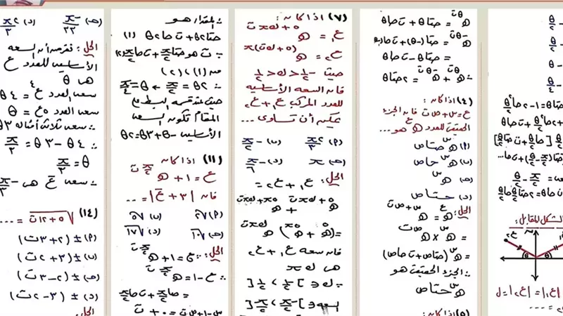 مراجعة ليلة الامتحان في الرياضيات البحتة لطلاب الثانوية العامة.. أهم القوانين والأسئلة المتوقعة