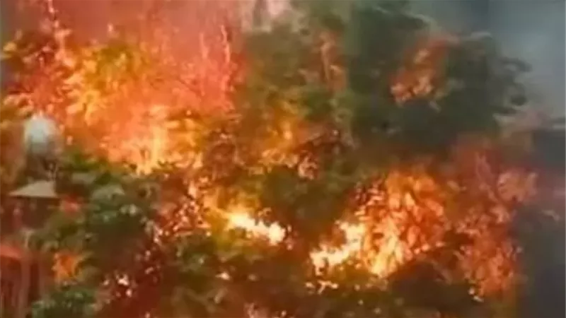 السيطرة على حريق بحشائش وأشجار بجوار موقف المطاعنة في إسنا