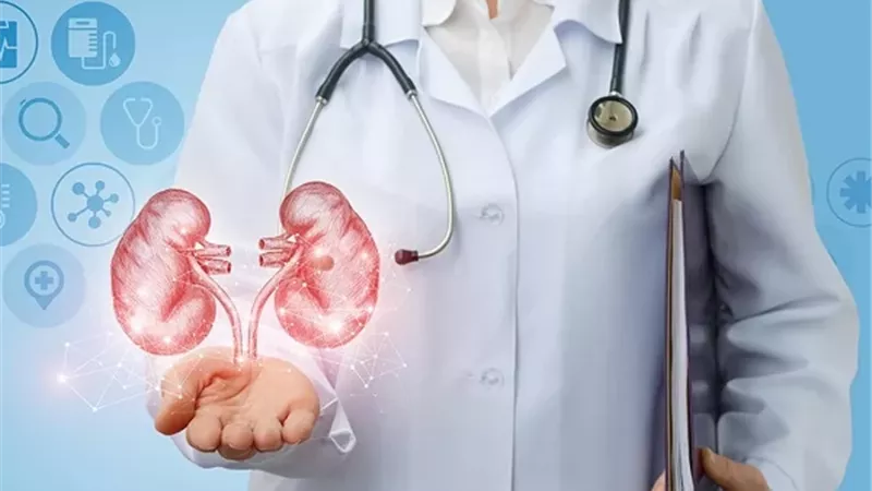 كيف تميز بين أعراض حصوات الكلى والتهاب المسالك البولية؟