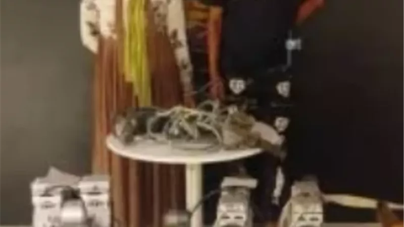 ضبط لصين سرقا معدات عيادة أسنان بالقاهرة