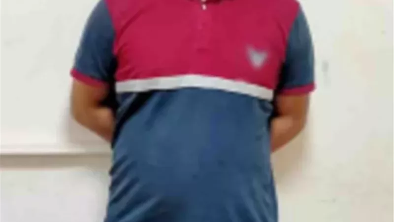 ضبط شخص بتهمة قتل قطة بالضرب في المحلة الكبرى