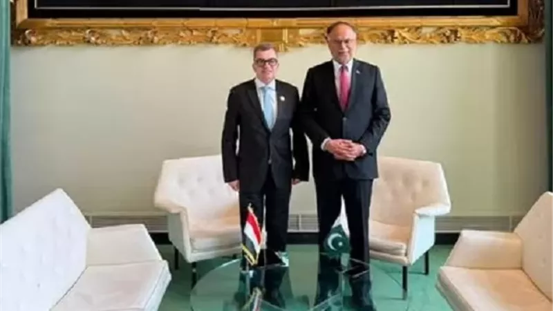 مقترح باكستاني لإنشاء منصة تعاون مع وزارة التخطيط.. ورستم يرحب