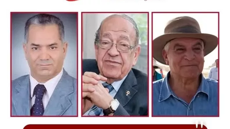 الأعلى للإعلام: آراء وسيم السيسي مكفولة بشرط الالتزام بالمراجع العلمية