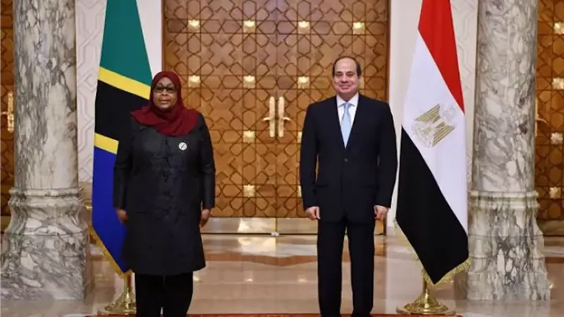 رئيسة تنزانيا تستقبل الرئيس السيسى