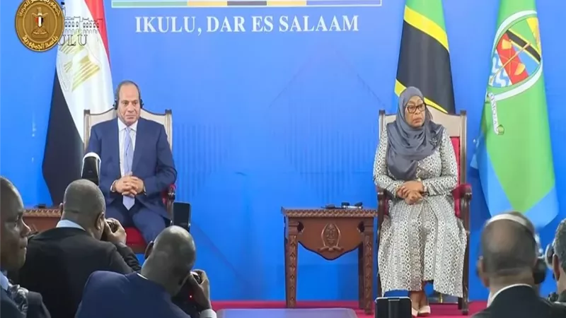 الرئيس السيسي: نؤكد ضرورة العمل على تحقيق الاستقرار والتقدم في إفريقيا