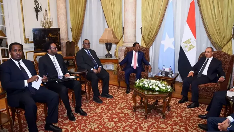 وزير الخارجية يطالب الصومال بسرعة الإفراج عن البحارة المصريين المختطفين وضمان سلامتهم