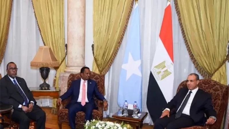 وزير الخارجية يجدد التزام مصر بمواصلة دعم جهود بناء مؤسسات الدولة الصومالية