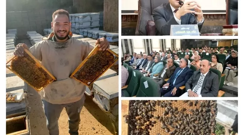 الغربية أكثر من 70% من إنتاج عسل النحل بمصر